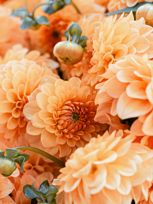 Navigating Wedding Trends: Finding Your True Colors Amidst the Hues