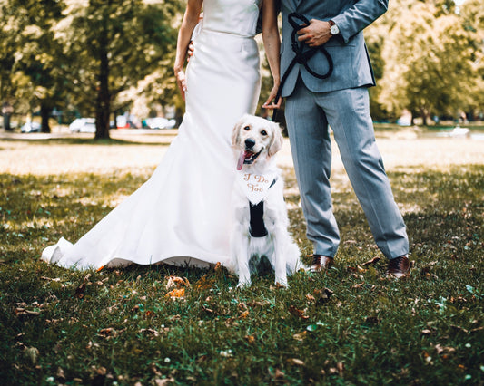 Including Your Furry Friends in Your Wedding: Tips for a Paws-itively Perfect Day